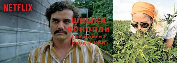 бошки Алзамай