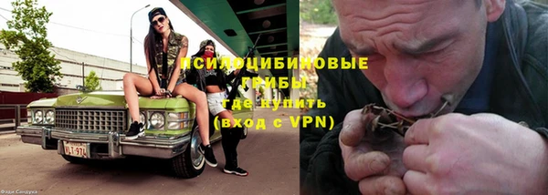 ешки Алексин