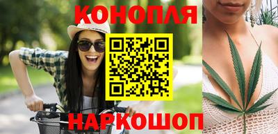 стаф Новозыбков