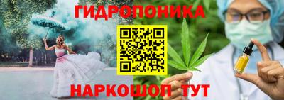 ECSTASY Новодвинск