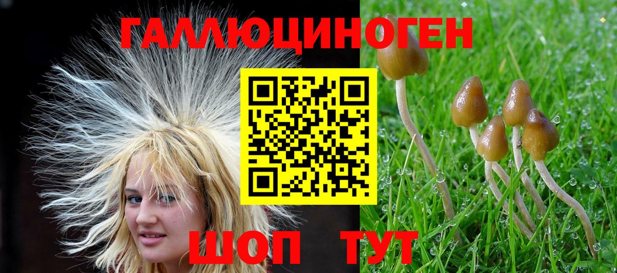 Галлюциногенные грибы мухоморы  Вход с VPN  Галлюциногенные грибы ЛСД  где продают наркотики  Тюмень 