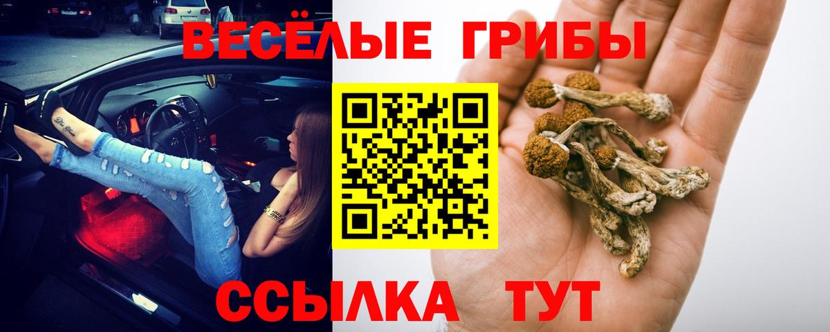 А ПВП Тюмень